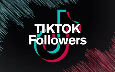 ✨Problem-FREE✨Tiktok 1.0...
