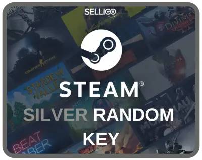 STEAM SILVER KEY