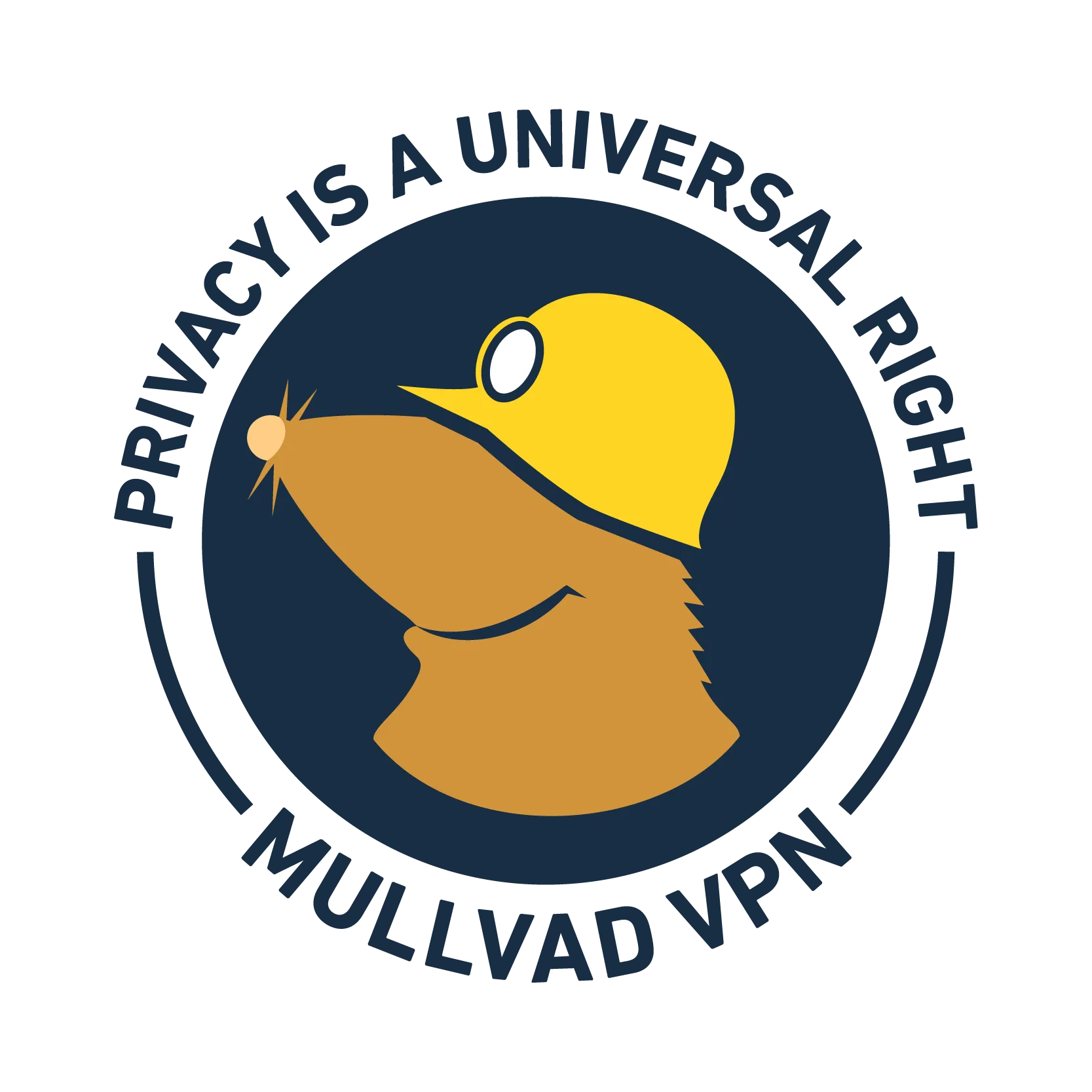 ✧ MULLVAD VPN PREMIUM ACCOUNT