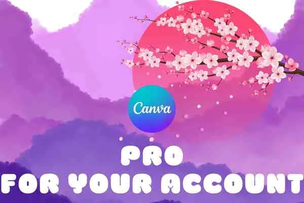 Canva Pro + Unlimited