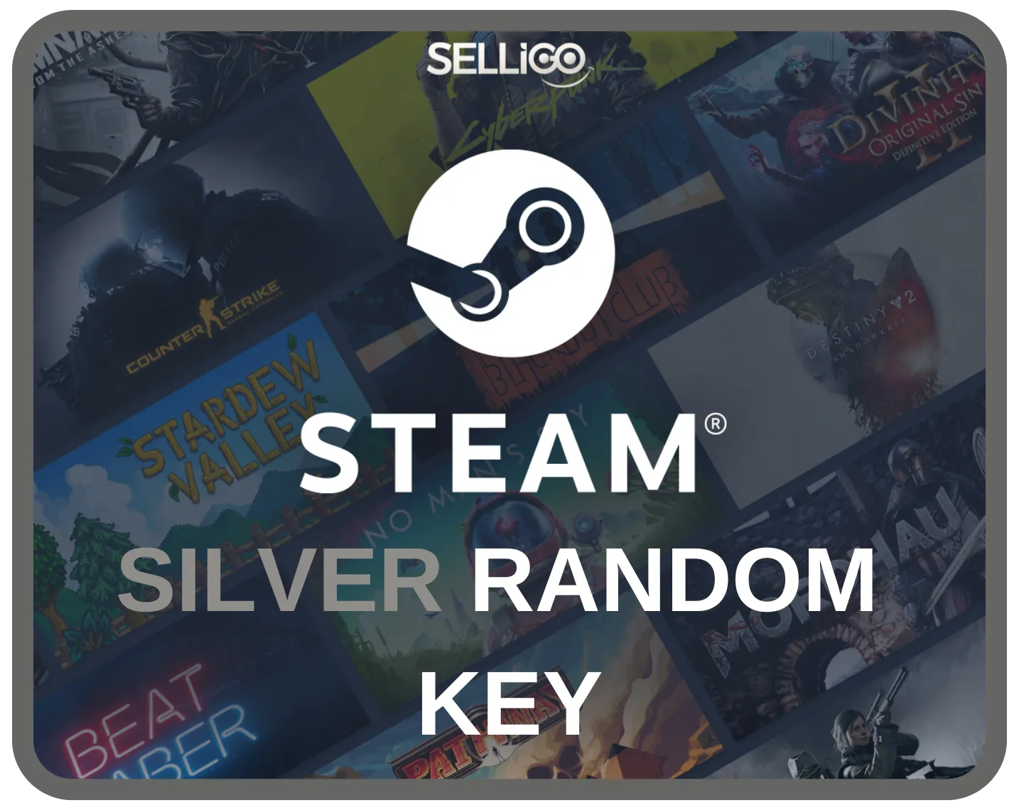 STEAM SILVER KEY