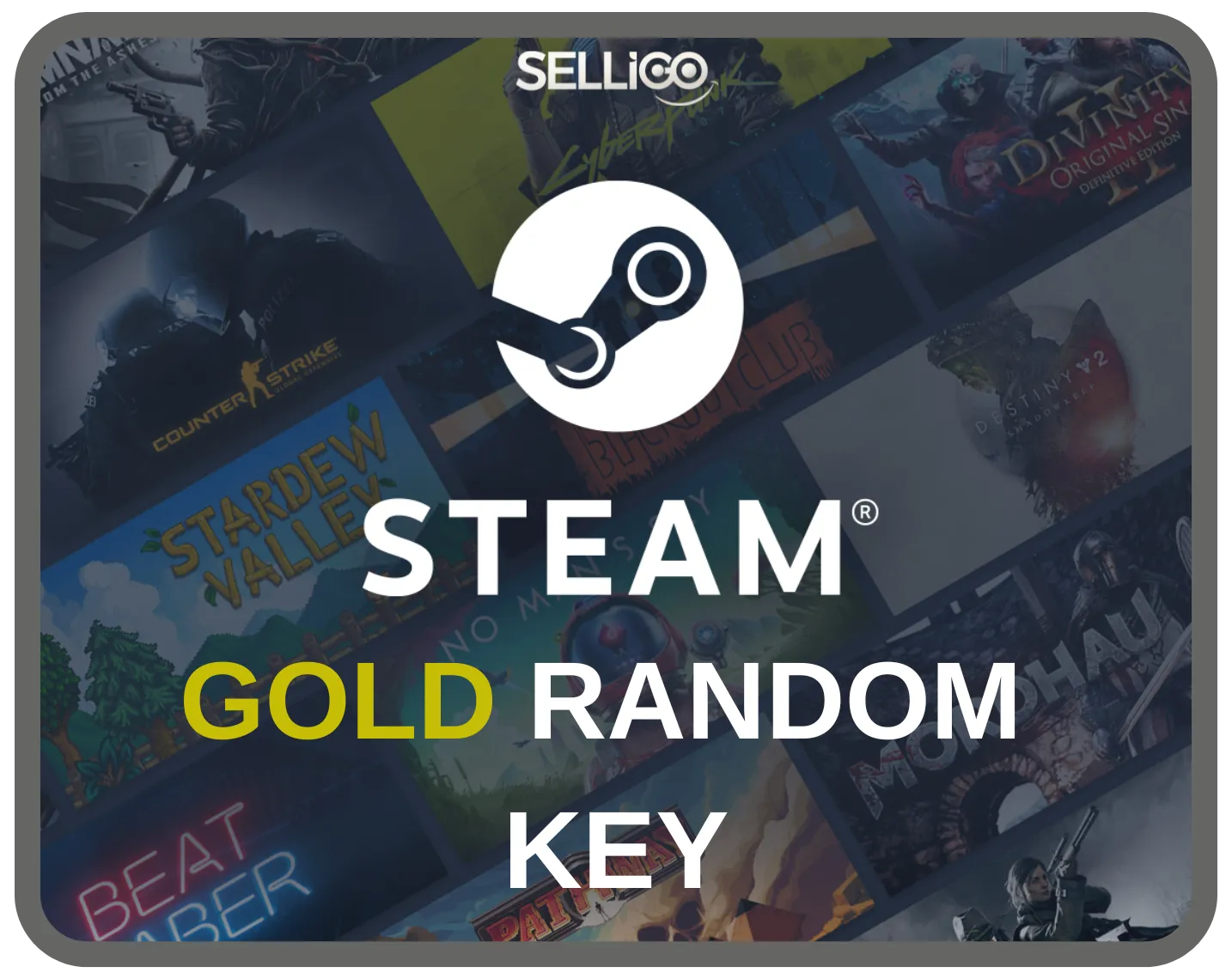 STEAM GOLD KEY