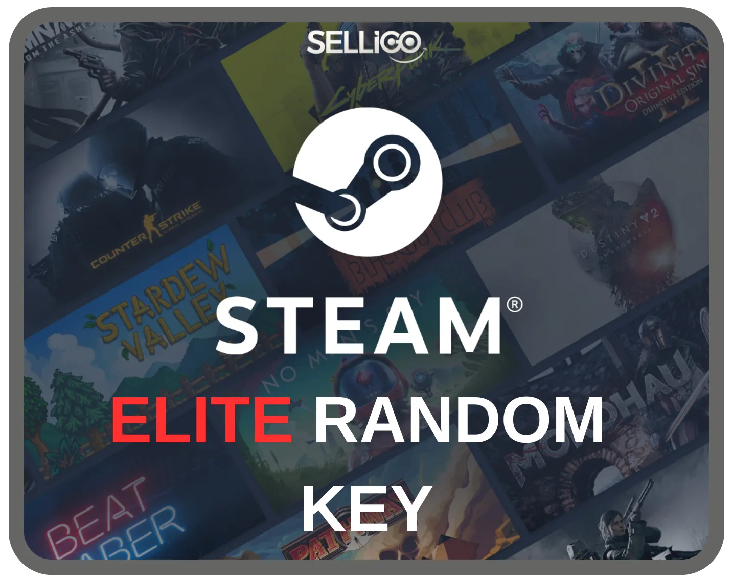 STEAM ELITE KEY